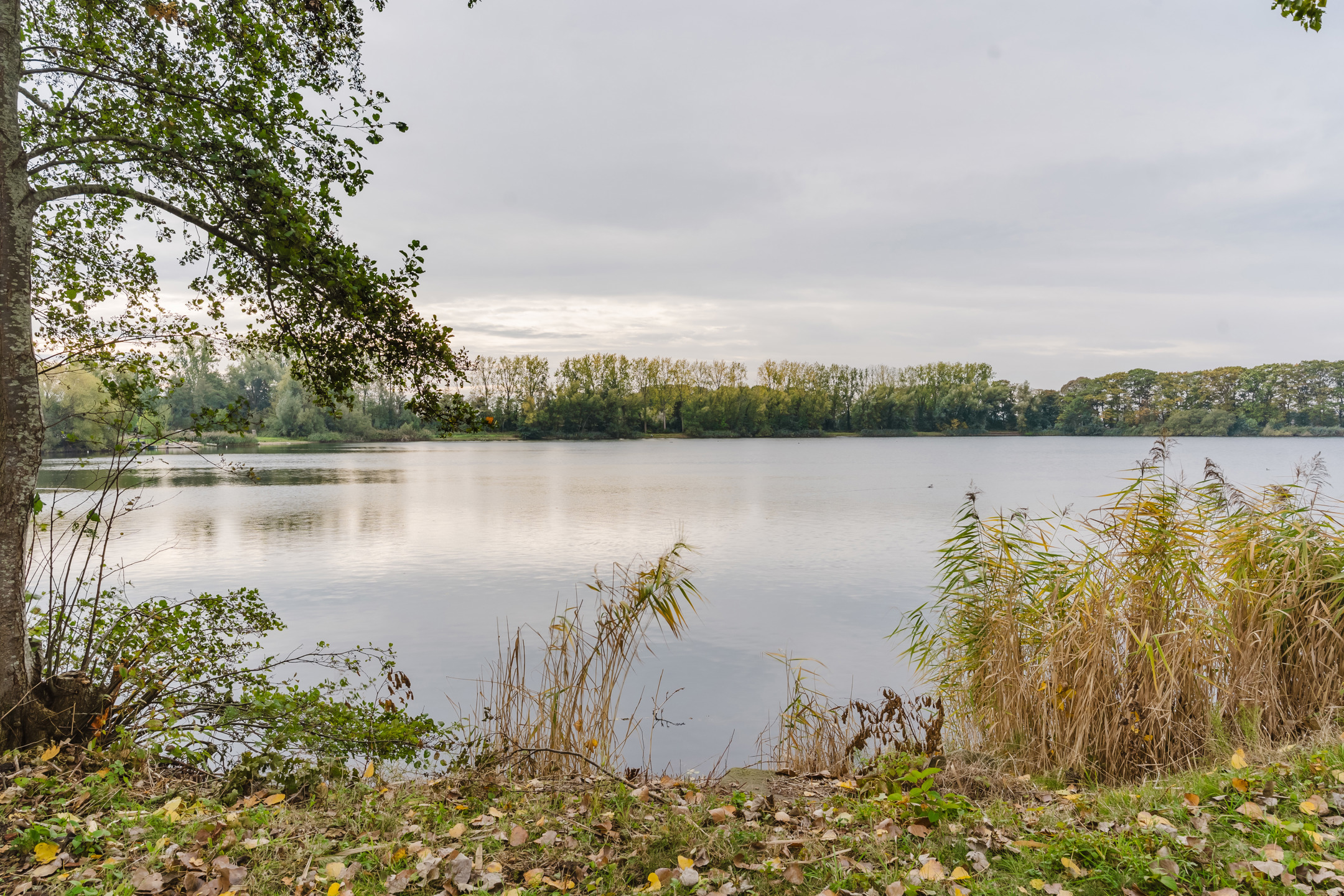 Klassieke villa met zicht op vijver in het groene Zevergem. - foto 2