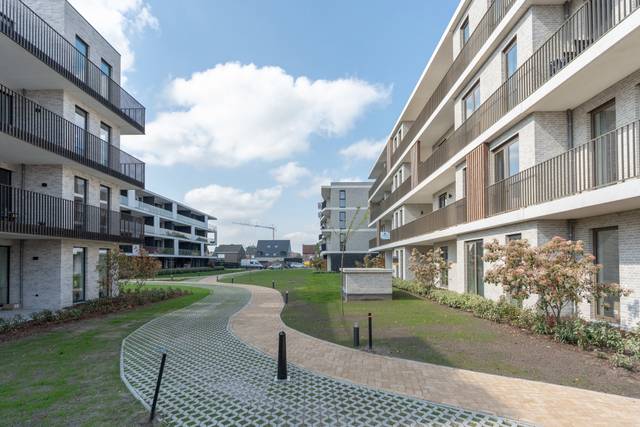 Project te koop in Oud-Turnhout