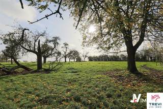 Grond te koop in Oerle