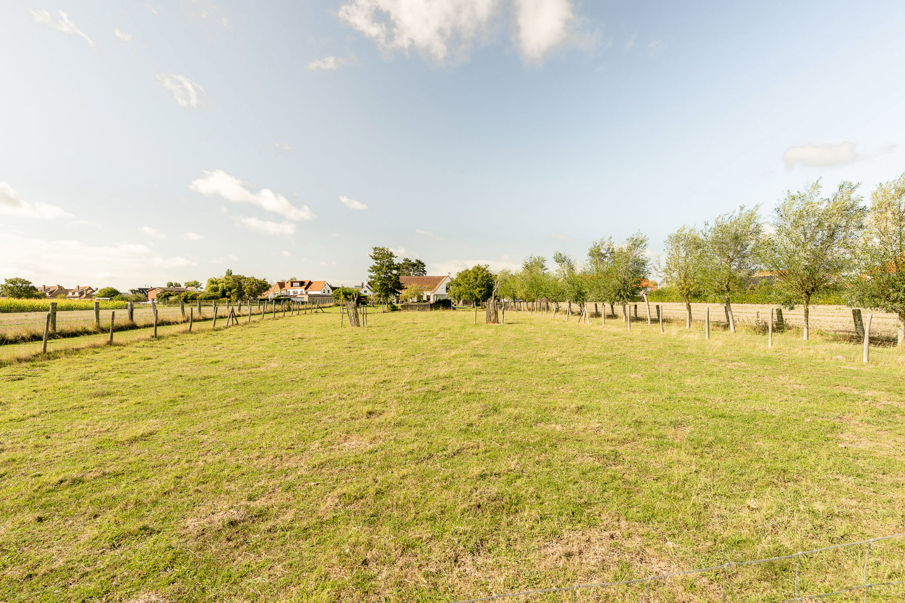 Prachtige eigendom genietend van verzichten op de velden. - foto 4