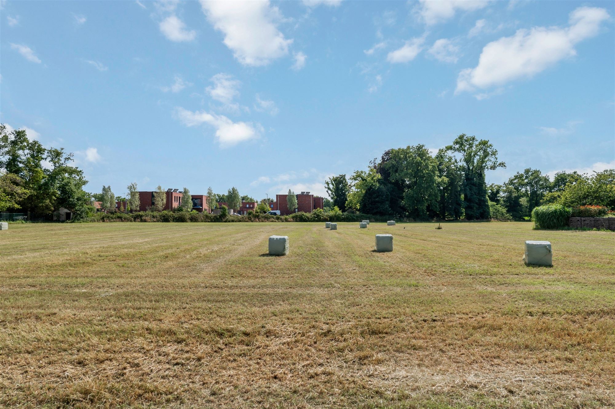 Terrain à vendre à Balen - photo 3