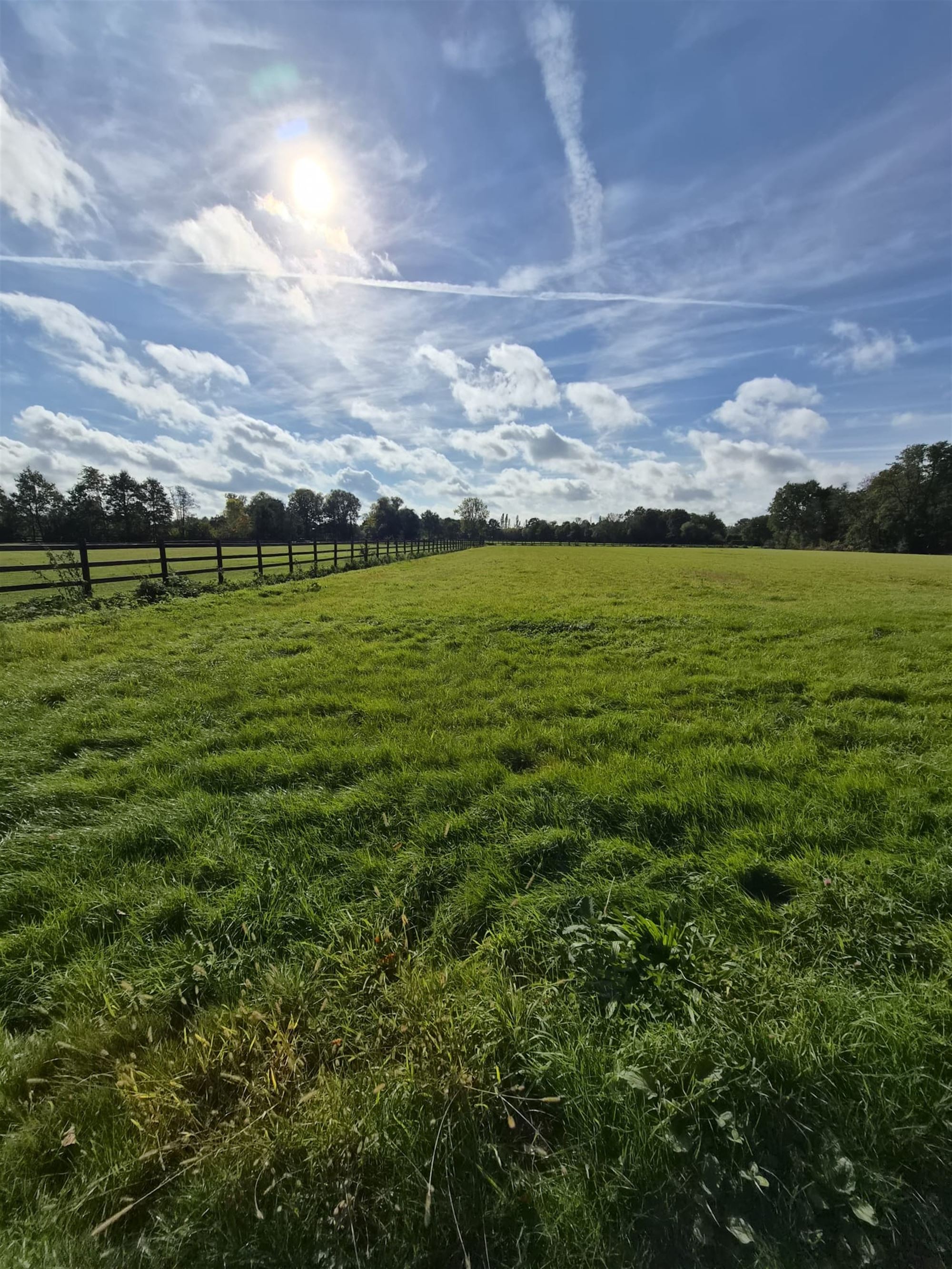 Landbouwgrond - foto 5