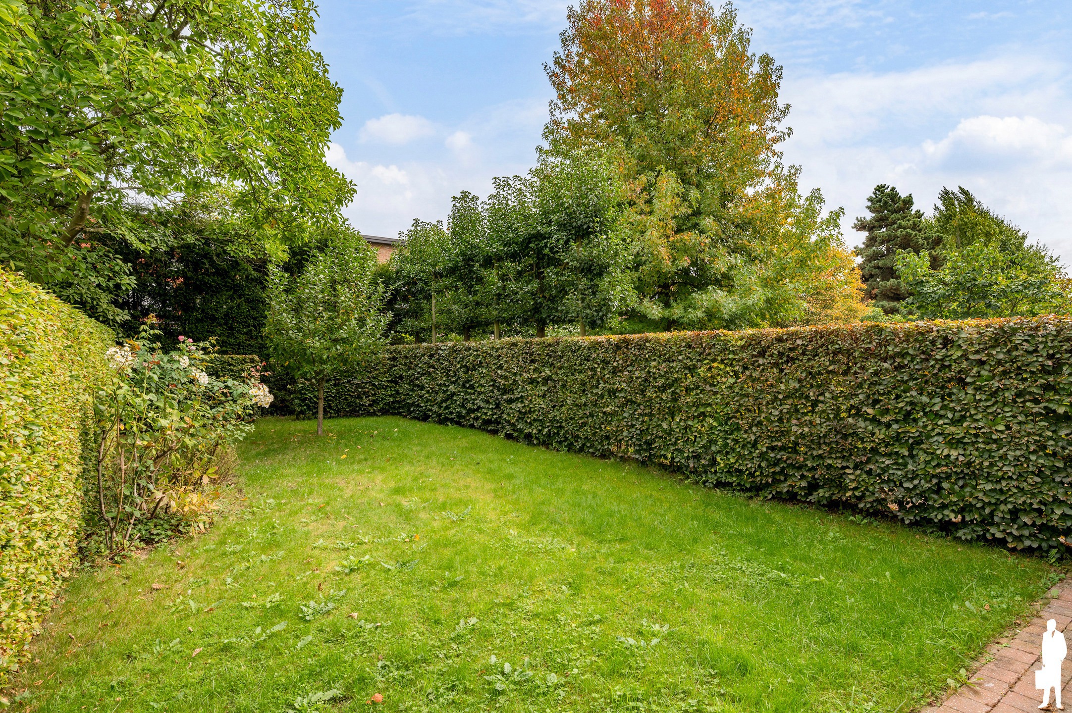 Ruime en energiezuinige bel-etagewoning met grote tuin.  - foto 2