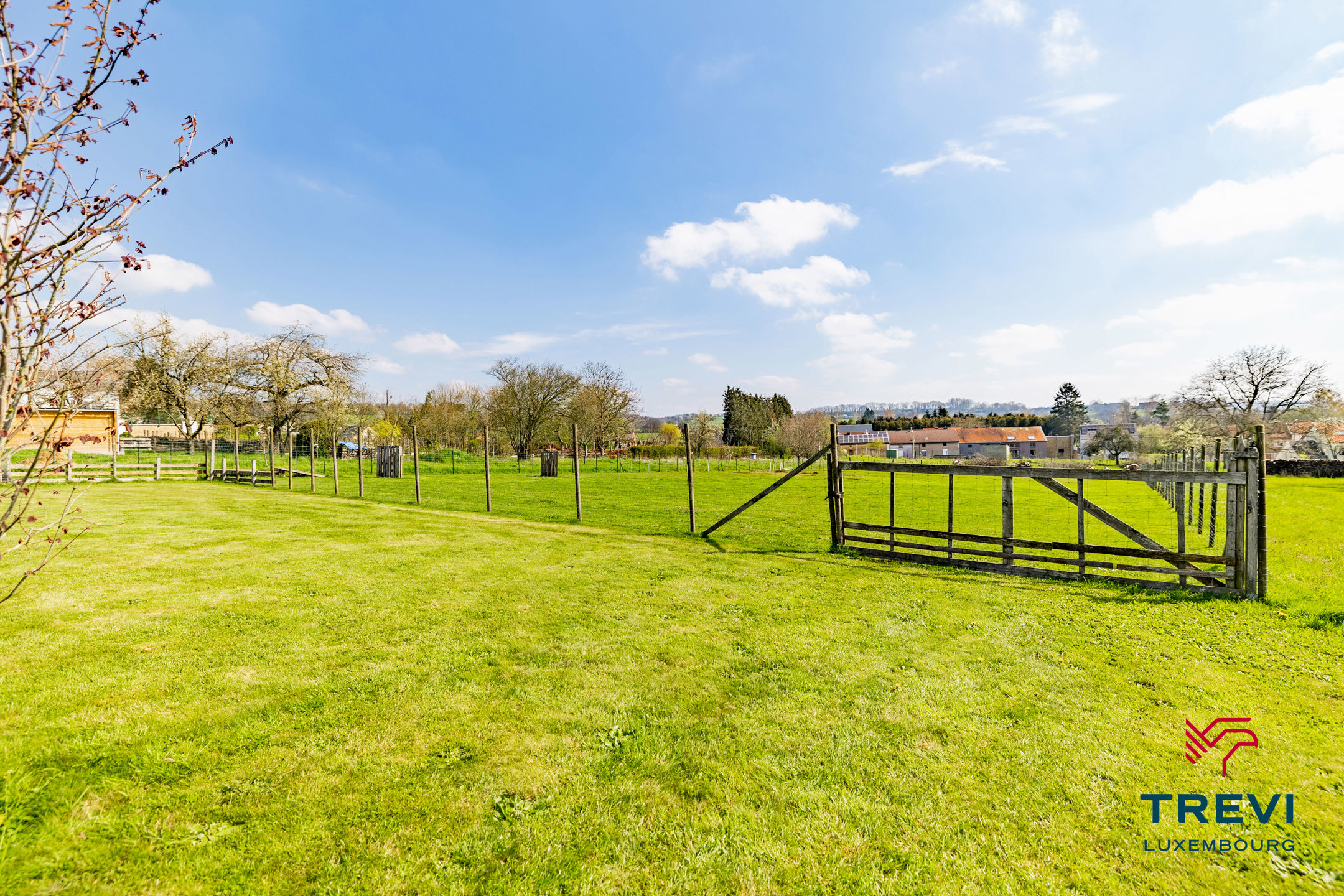 Maison à vendre à Virton avec 5 chambres - photo 5