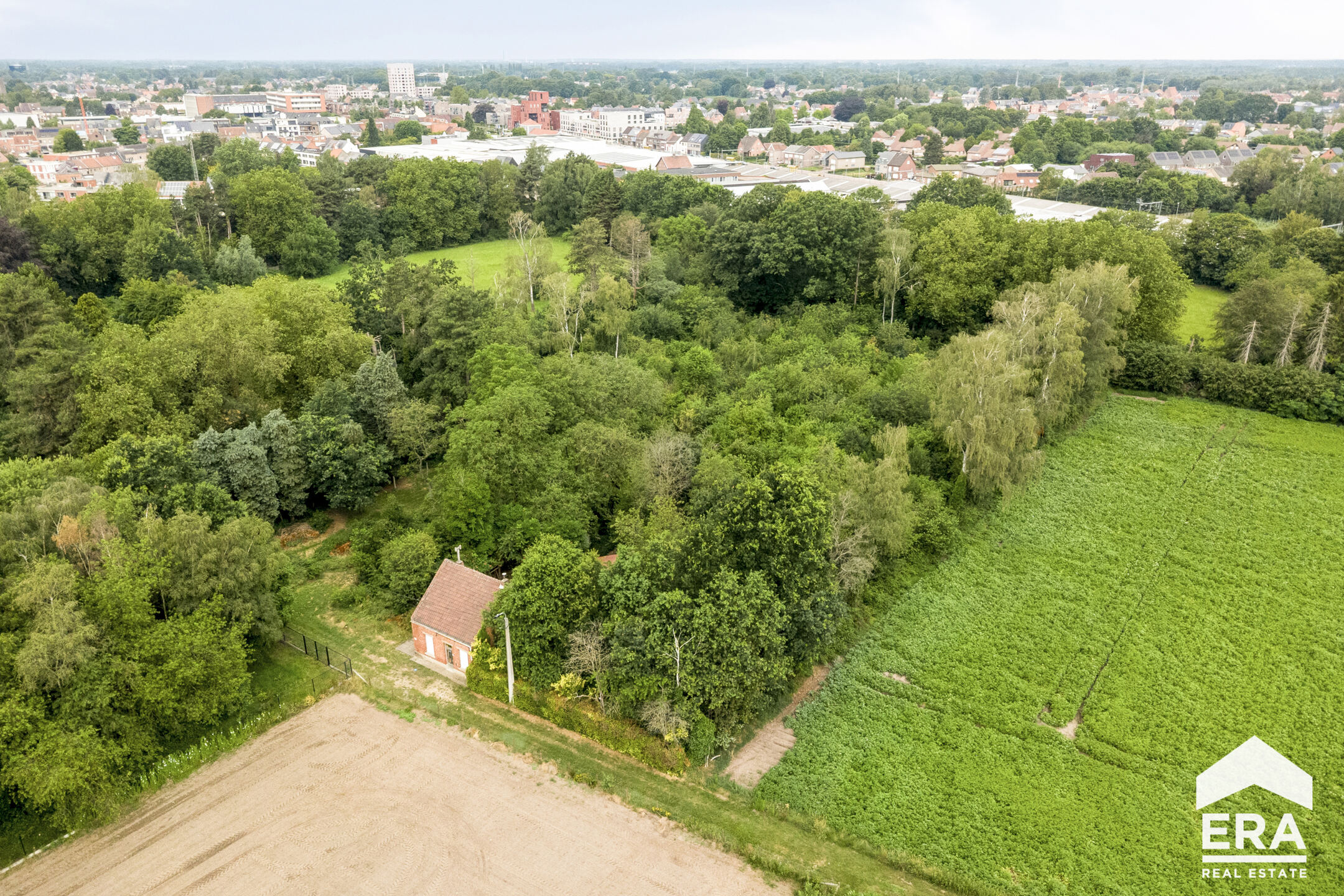 Prachtig perceel hartje Geel op 6.506,96m². - foto 5