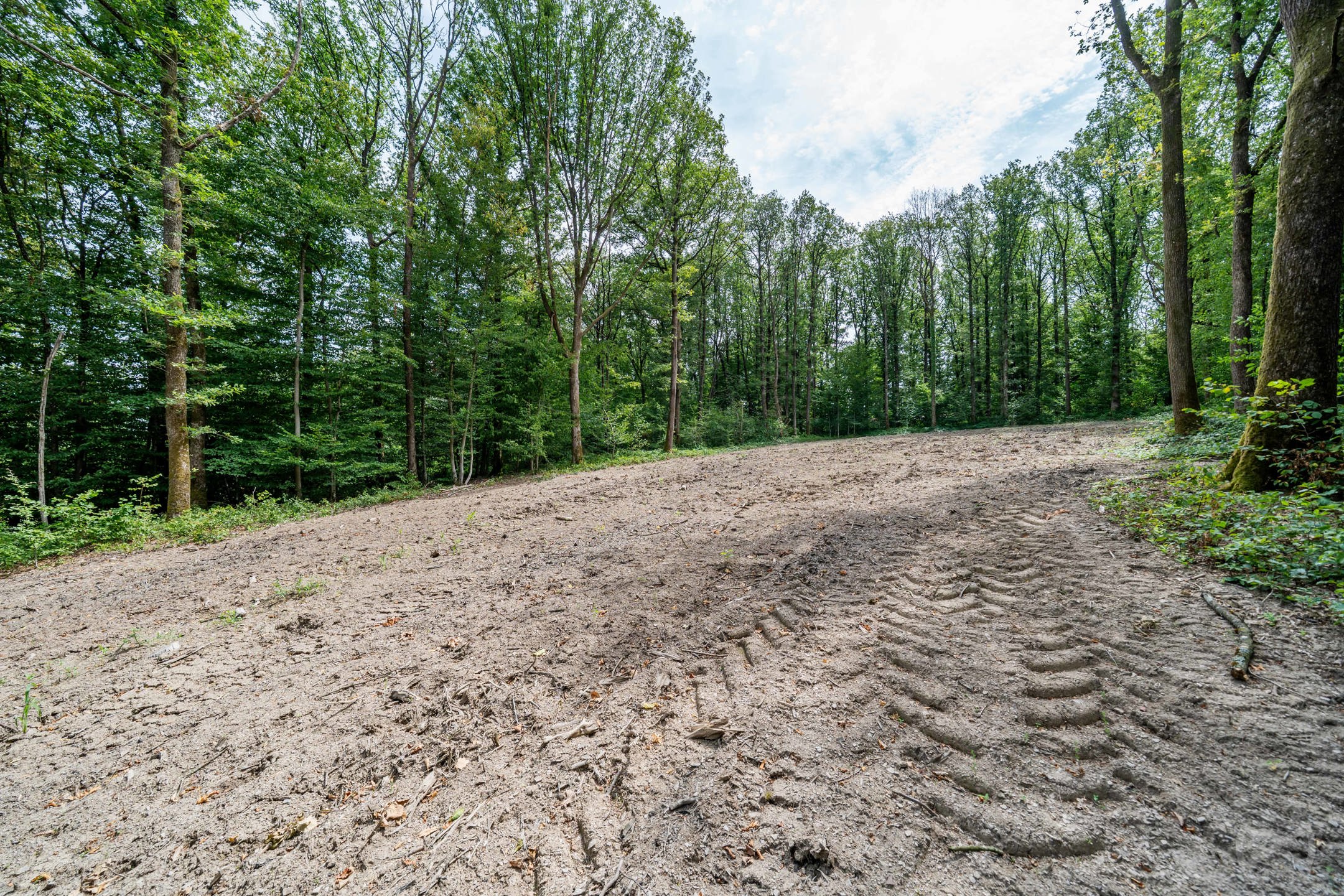 Grond te koop in Philippeville - foto 4