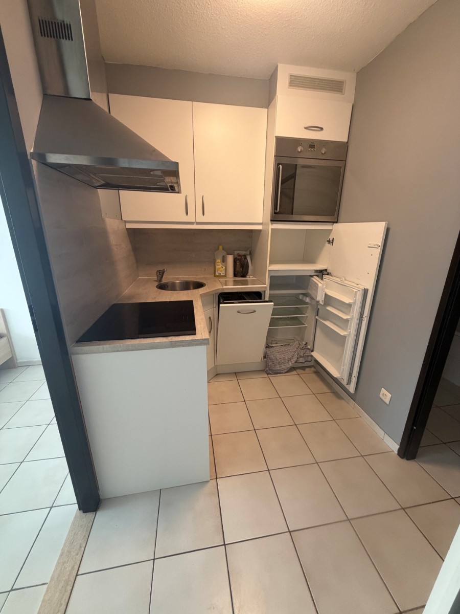 Ruim appartement met 1 slaapkamer en mogelijkheid tot slaaphoek - foto 4