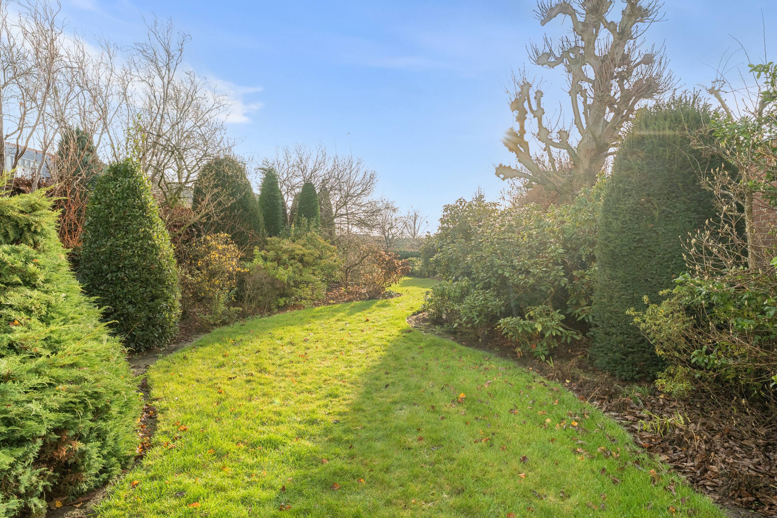 Maison à vendre à Desselgem avec 4 chambres - photo 3