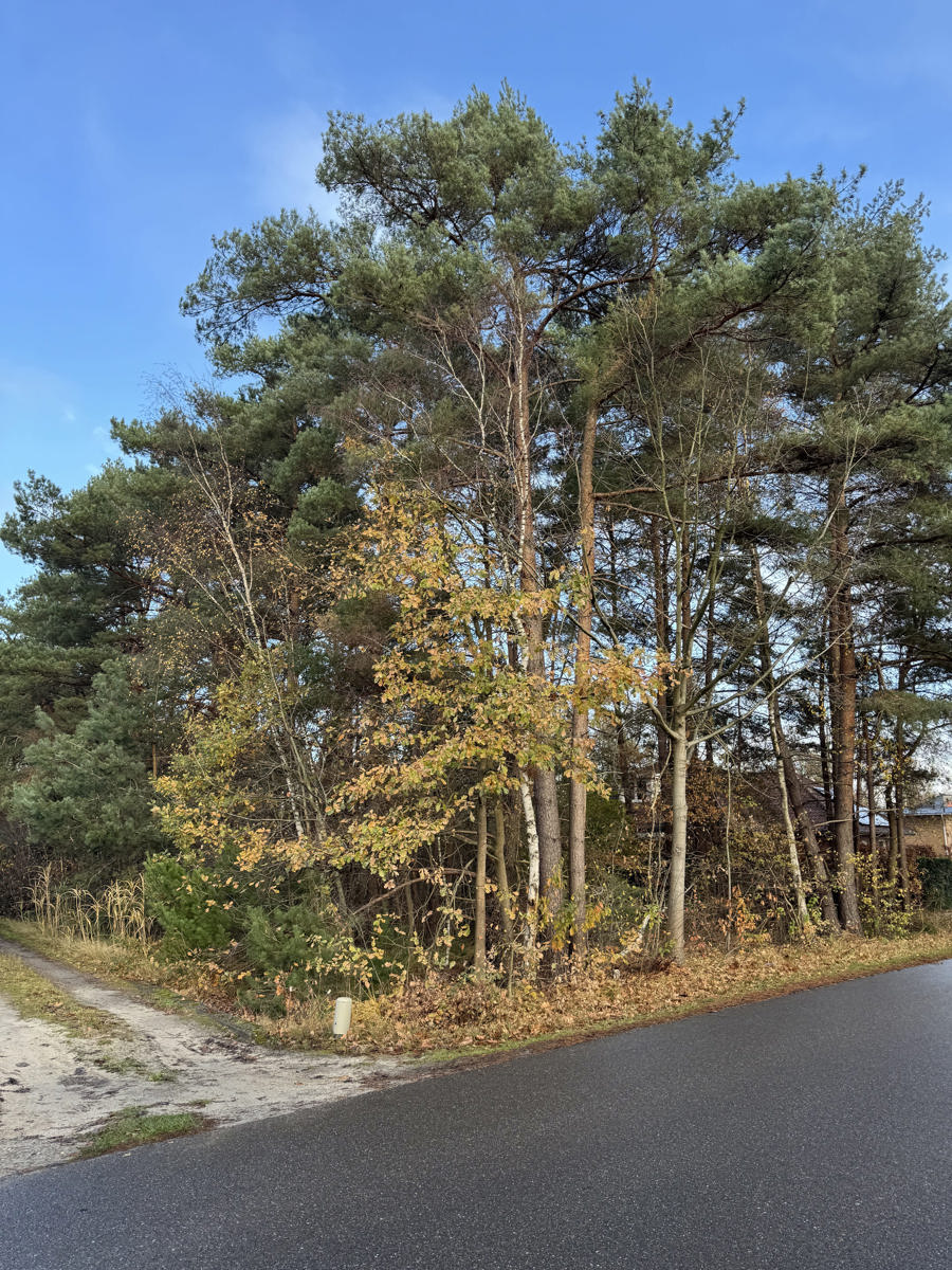 Ruime bouwgrond te koop in Balen-Wezel: ca. 3513 m² op rustige locatie - foto 4