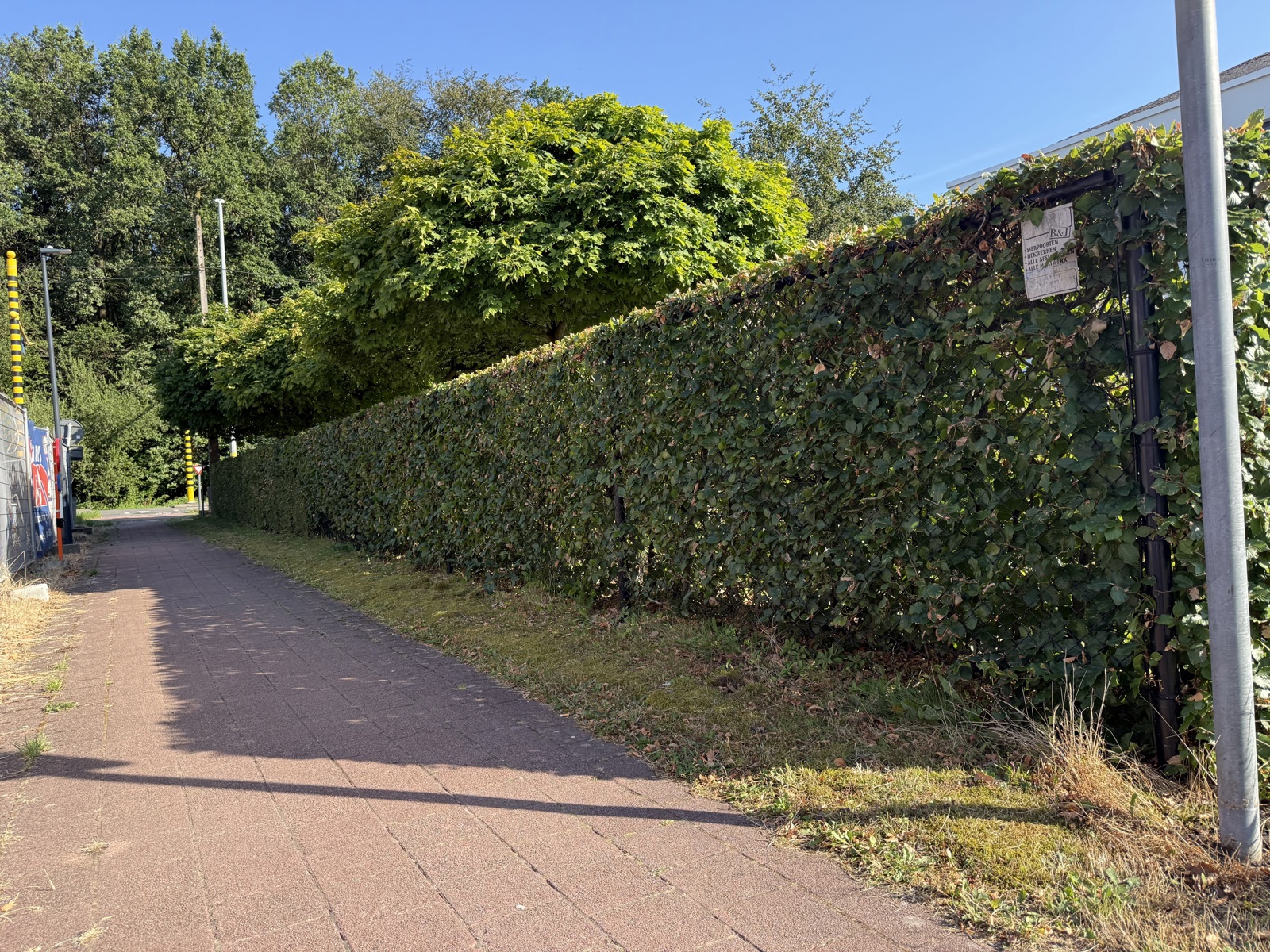 Bouwgrond van 992m² in doodlopende straat! - foto 5
