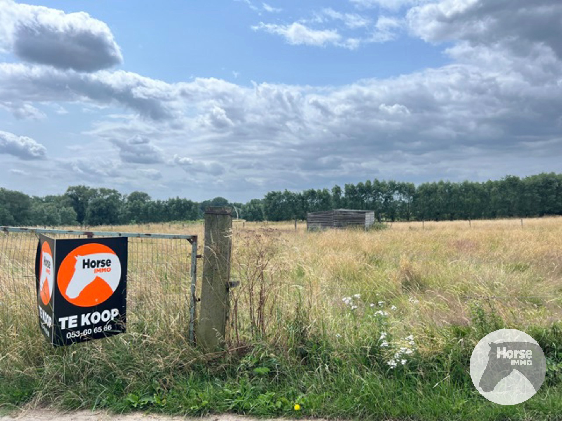 MELDERT - Weide op +/-40Are - foto 3