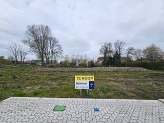 Ontdek deze bouwgrond in Handzame, deelgemeente van Kortemark. Je woont er nabij het centrum, in de buurt van winkels (supermarkt op 300 m), scholen (basisschool op 350 m) en openbaar vervoer (bushalte op 900 m). Dit perceel geniet van een weids uitzicht over de velden en weiden.

De grootte van dit villaperceel, 933 m² en de ruime stedenbouwkundige voorschriften (1 of 2 bouwlagen, vlak of hellend dak) bieden tal van mogelijkheden. Hier bouwen we jouw nieuwe, energiezuinige woning volledig op maat, tegen een vaste prijs.

Contacteer me gerust en ontdek alle mogelijkheden!