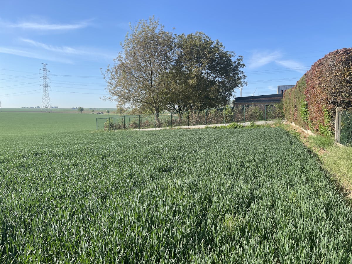 Perceel grond van 40a 90ca - foto 3