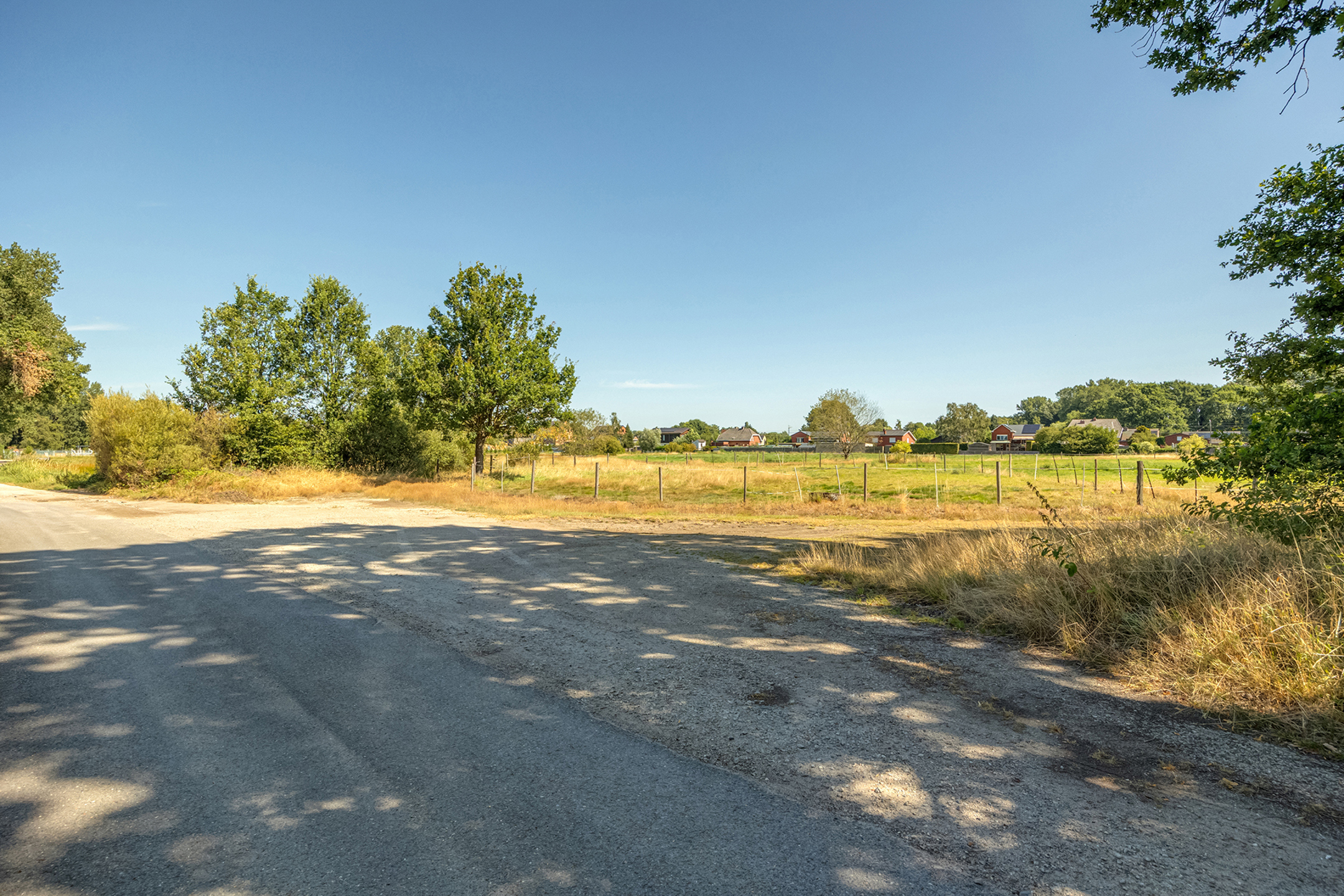 Weiland van 15.949 m2 met piste - foto 5