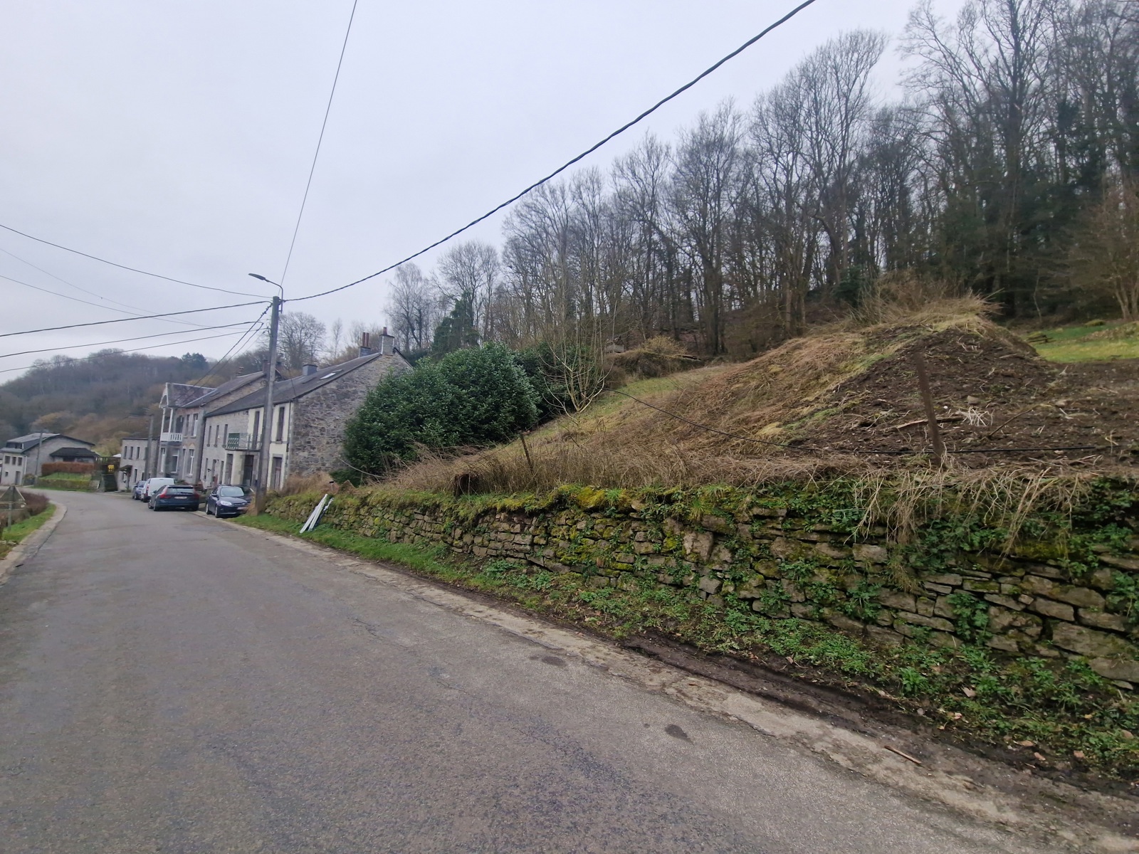 Terrain à vendre à Anhée - photo 4