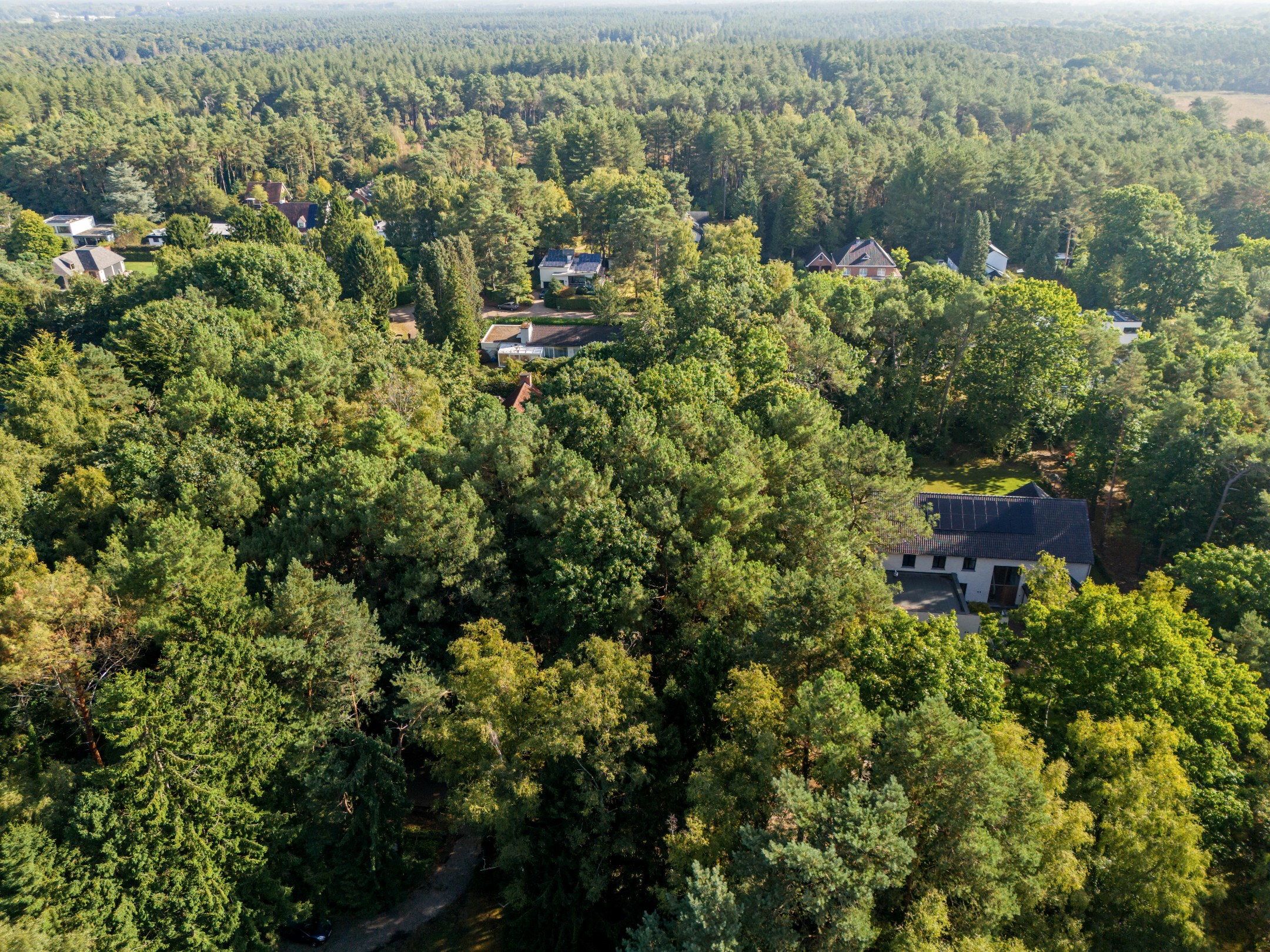 Spacious plot of building land of 1,863 m² for detached construction - photo 5