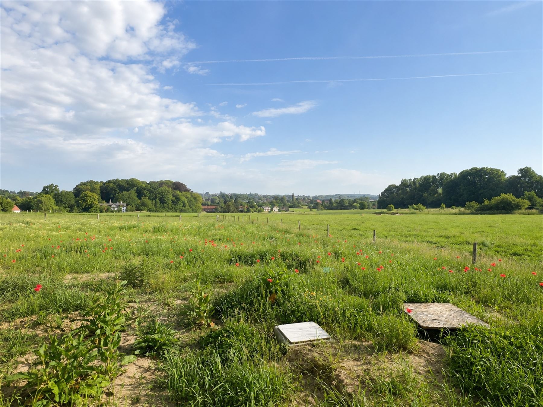 Maison - photo 5
