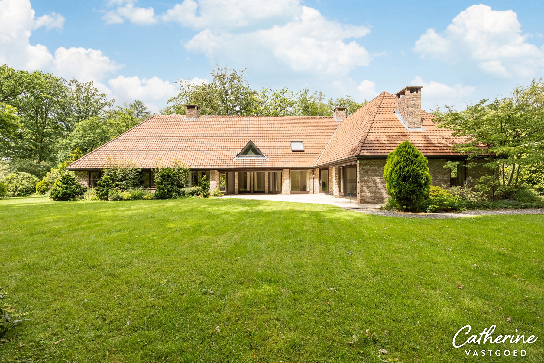 …