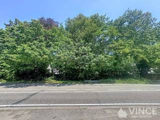 Bent u op zoek naar de perfecte locatie om uw droomvilla te realiseren?<br /><br />Dit uitzonderlijk ruime perceel van maar liefst ca. 2.381 m² biedt u alle privacy, rust en creatieve vrijheid die u zich kunt wensen.<br />Gelegen in woonparkgebied op een strategische en vlot bereikbare locatie aan de Kapelsesteenweg in het gegeerde Brasschaat.<br /><br />De troeven van dit perceel op een rij:<br /><br /><strong>Royale oppervlakte</strong><br />Met ca. 2381m² aan grond en een perceelbreedte van ca. 30 m heeft u meer dan genoeg ruimte voor een riante open bebouwing, een prachtig aangelegde tuin en optimale privacy.<br /><br /><strong>Ideale oriëntatie</strong><br />Perfecte mogelijkheden om uw toekomstige woning te ontwerpen met maximale lichtinval.<br /><br /><strong>Toplocatie</strong><br />Gelegen in het groene Brasschaat, met een uitstekende verbinding naar zowel het centrum van Brasschaat als Kapellen.<br />Scholen, winkels, openbaar vervoer en invalswegen (E19) zijn vlot bereikbaar.<br /><br /><strong>Bouwmogelijkheden</strong><br />Geschikt voor een exclusieve open bebouwing (villa) conform de geldende stedenbouwkundige voorschriften.<br /><br /><em>Kortom, een unieke kans voor wie houdt van ruimte en groen, zonder in te boeten op een vlotte bereikbaarheid. </em><br /><br />Wilt u de stedenbouwkundige voorschriften inkijken, of brengt u graag een bezoek aan het terrein? Neem vandaag nog contact met ons op.