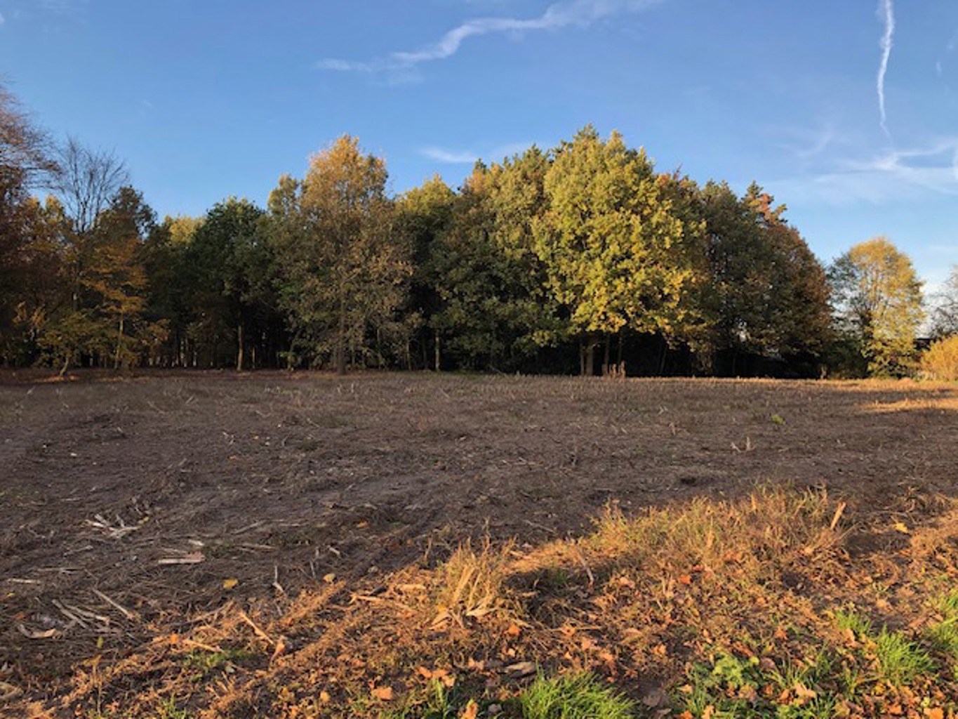 Nabij Staakteschool: landelijk gelegen bouwgrond voor OB - foto 1