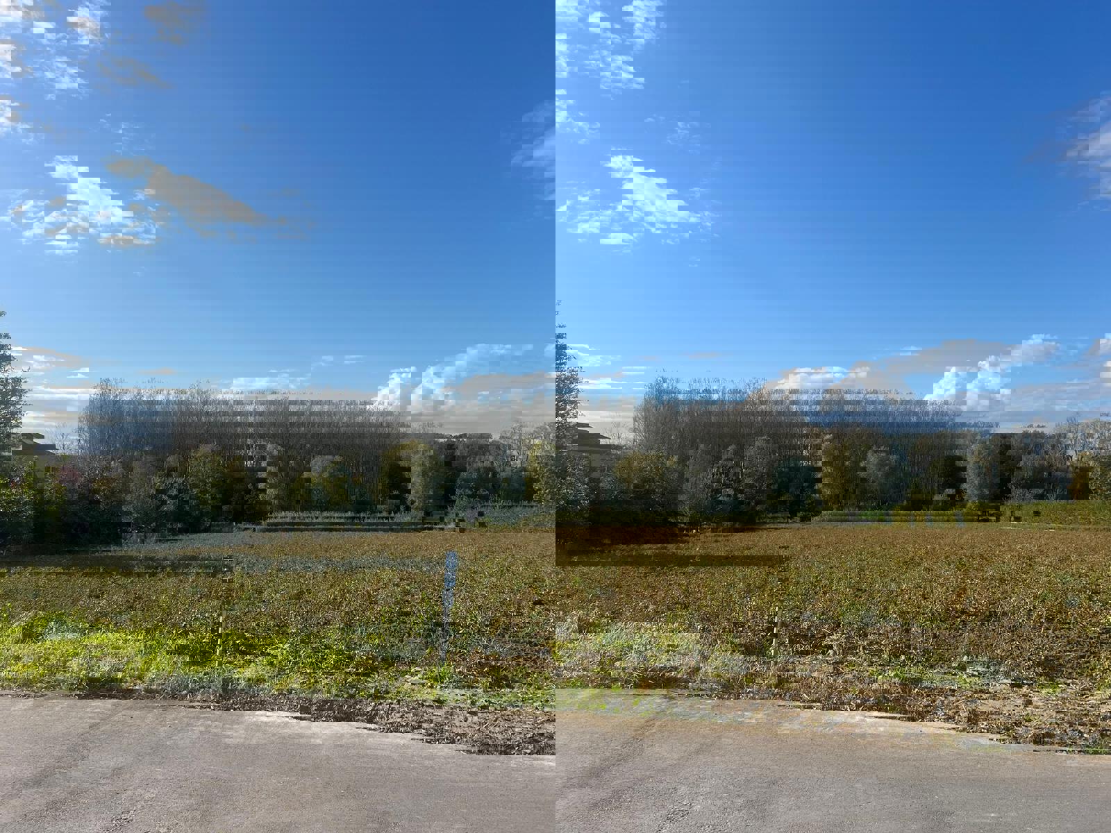 Project for sale in Lede - photo 2