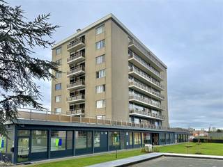 Dans la Residentie Talmar bien entretenue de Willebroek se trouve cet appartement spacieux et agréable de trois chambres à coucher, idéalement...