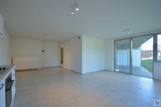 <strong>Bezoek na afspraak met IMMOBOSS per e-mail: ronse@immoboss.be</strong><br /><br />Res. La Margarita is een hedendaags appartementencomplex gelegen in een groenpark, verwijderd van de hoofdbaan en doch in de directe nabijheid van scholen, winkels, openbaar vervoer etc. Centraal wonen in een rustige, groene omgeving met voldoende privacy zijn hier één van de voornaamste troeven. Daarnaast is het volledige domein - alsook het appartement - toegankelijk voor mindervaliden. Indeling appartement, gelijkvloers verdiep: Inkomhal met vestiaire/bergingskast, ruime en lichtrijke leefruimte met open-keuken (kookplaat, oven en dampkap), terras met zicht op groen, ruime slaapkamer en een badkamer. Tot slot vervolledigt de privatieve kelderberging (nr. 14) en de gemeenschappelijke fietsenstalling deze eigendom. Algemene onkosten: 125 EUR/mnd. (omvat: verbruik &amp; onderhoud van de gemeenschappelijke delen + <u>privatief verbruik verwarming</u> + restafvalbeheer + syndicus, met afrekening). EPC-label: B en onmiddellijk beschikbaar. Mogelijkheid tot het huren van een autostandplaats: 30 EUR/mnd. <strong>Bezoek na afspraak met IMMOBOSS per e-mail: ronse@immoboss.be</strong>