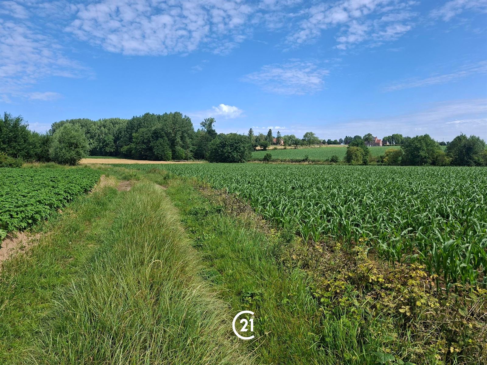 Prachtig perceel landbouwgrond 2hect67 bereikbaar via losweg - foto 5