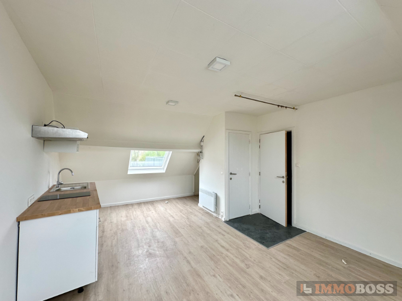 Vernieuwde studio nabij Sint-Pieters station - foto 4