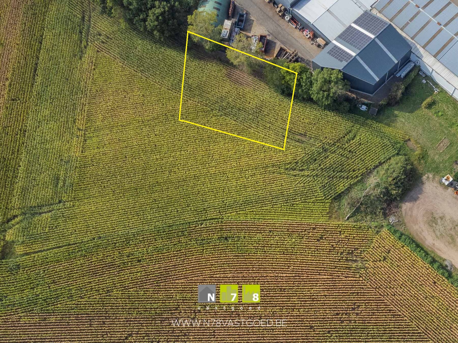 Terrain à vendre à Dilsen-Stokkem - photo 2