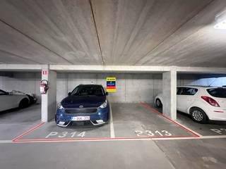 In de recente Residentie PIER KORNEL bieden wij een pakket van 5 ondergrondse autostaanplaatsen aan, genummerd P001, P002, P003, P313 en P314.De...