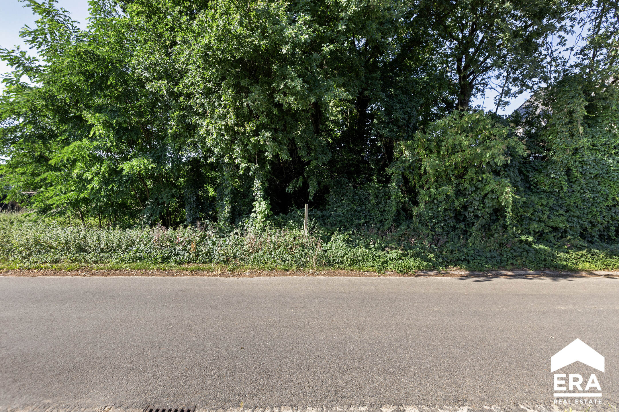 Land for sale in Houthalen-Helchteren - photo 5