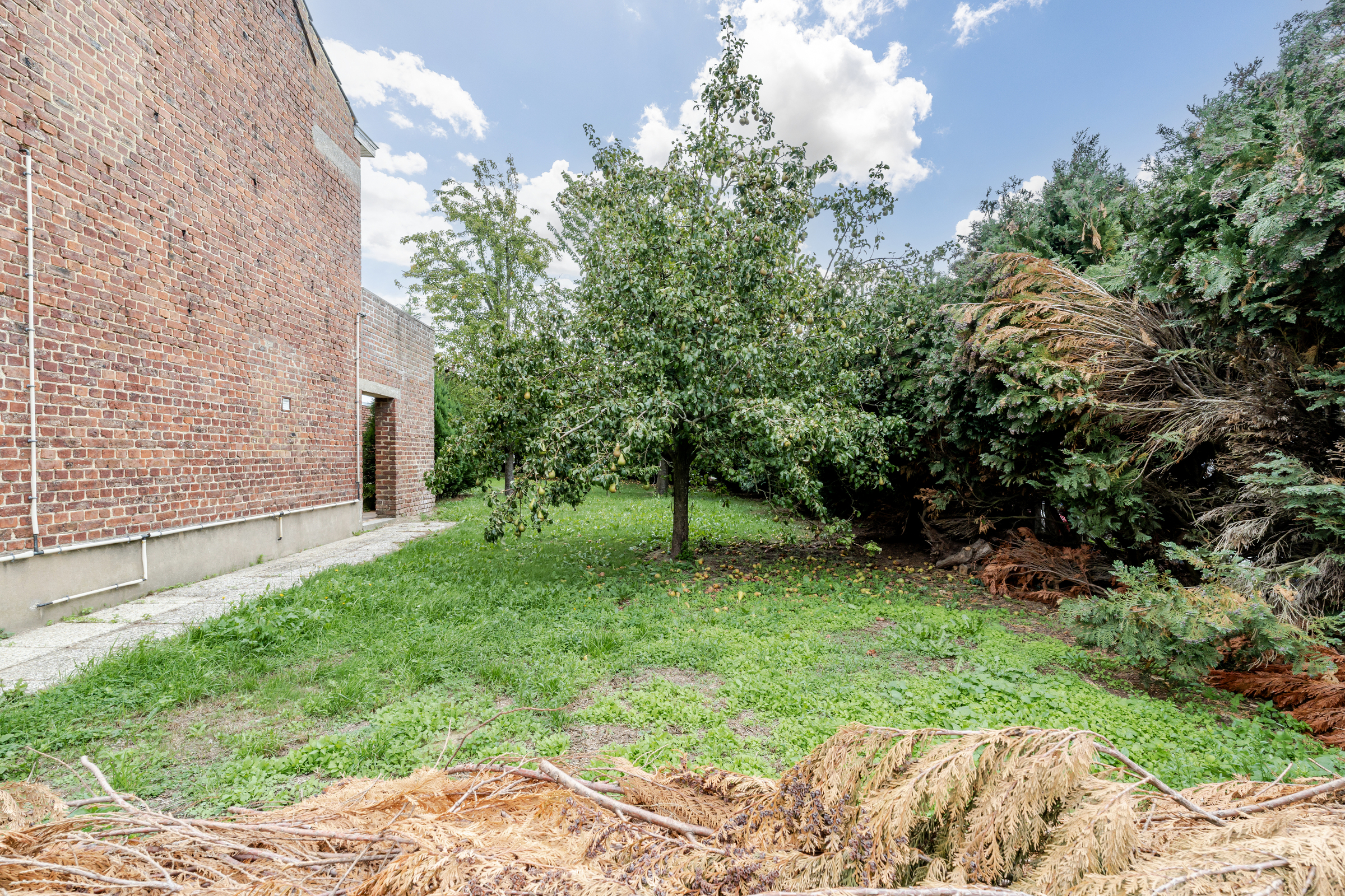 Gesloten bouwlot van 270 m² in het groene Denderhoutem - foto 5