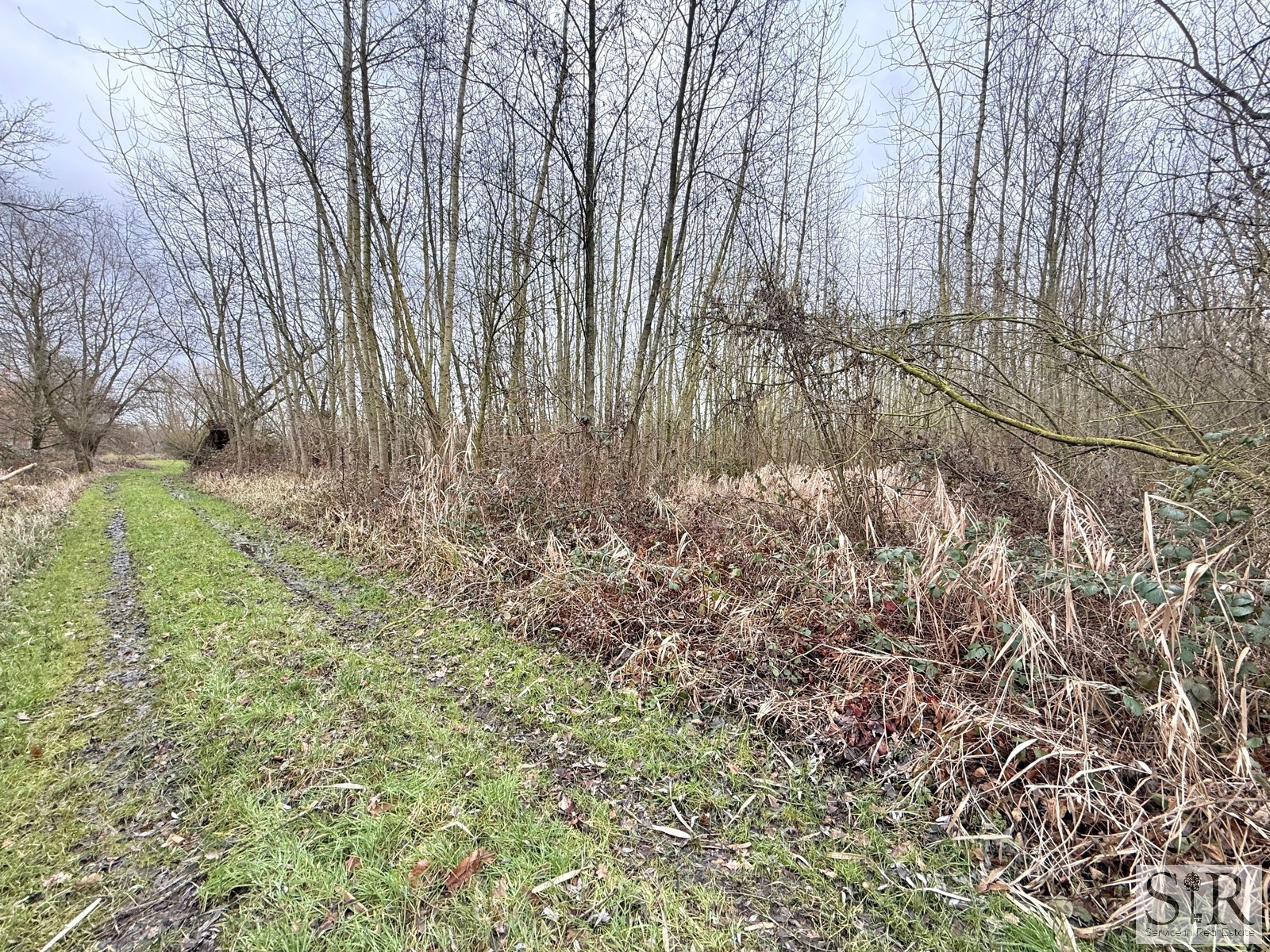 Land for sale in Zemst - photo 4