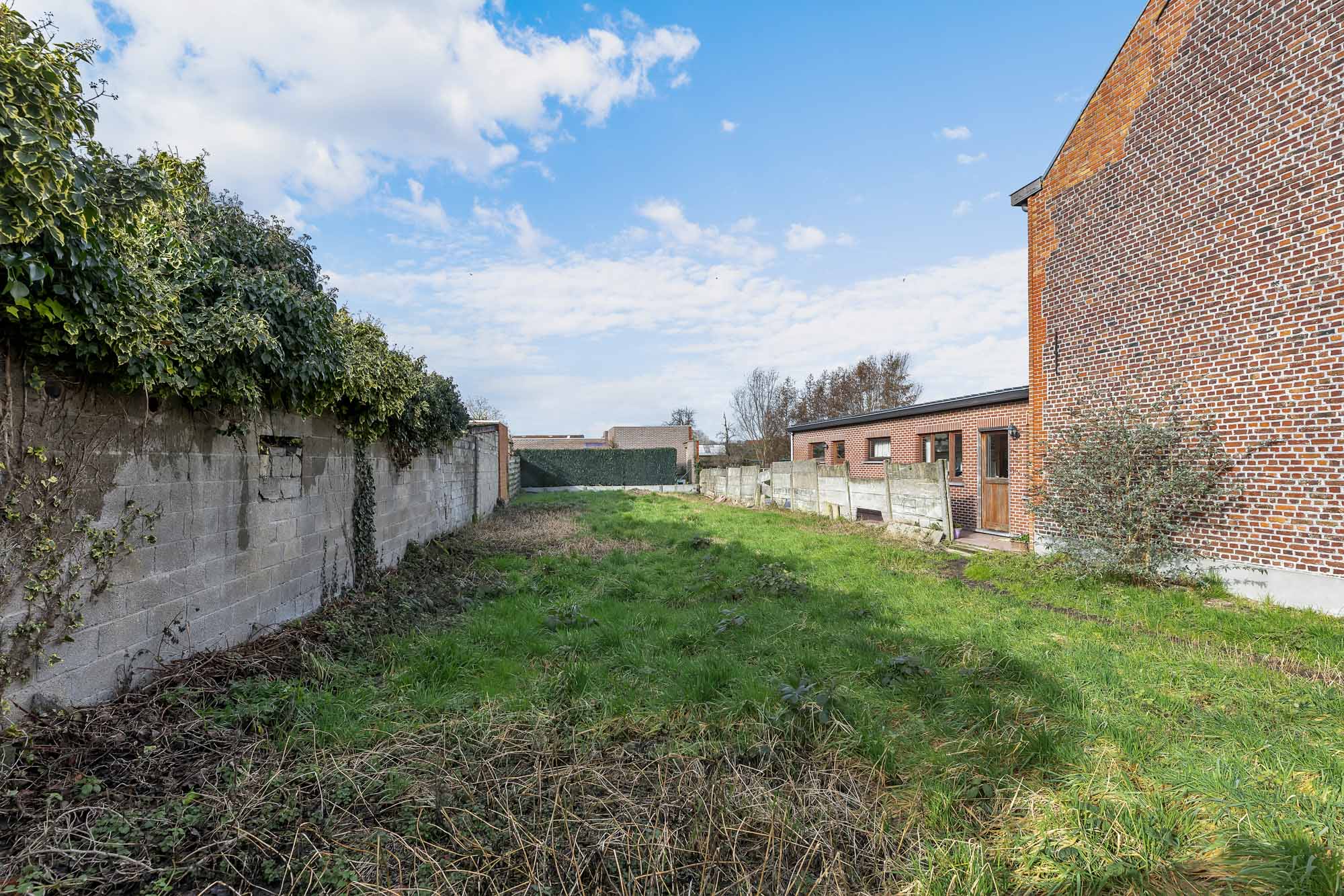 Land for sale in Wanzele - photo 4