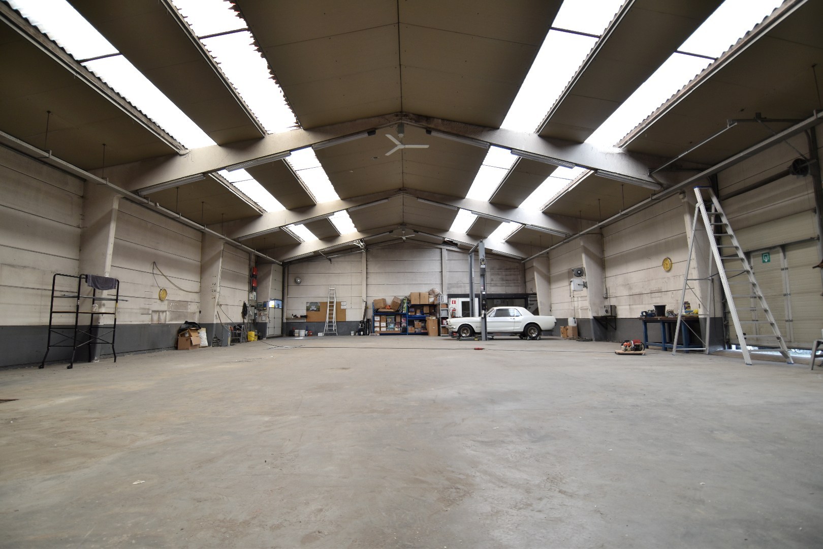 Loods met alleenstaande woning te koop in Bellegem op een perceel van 6.855 m² - foto 5