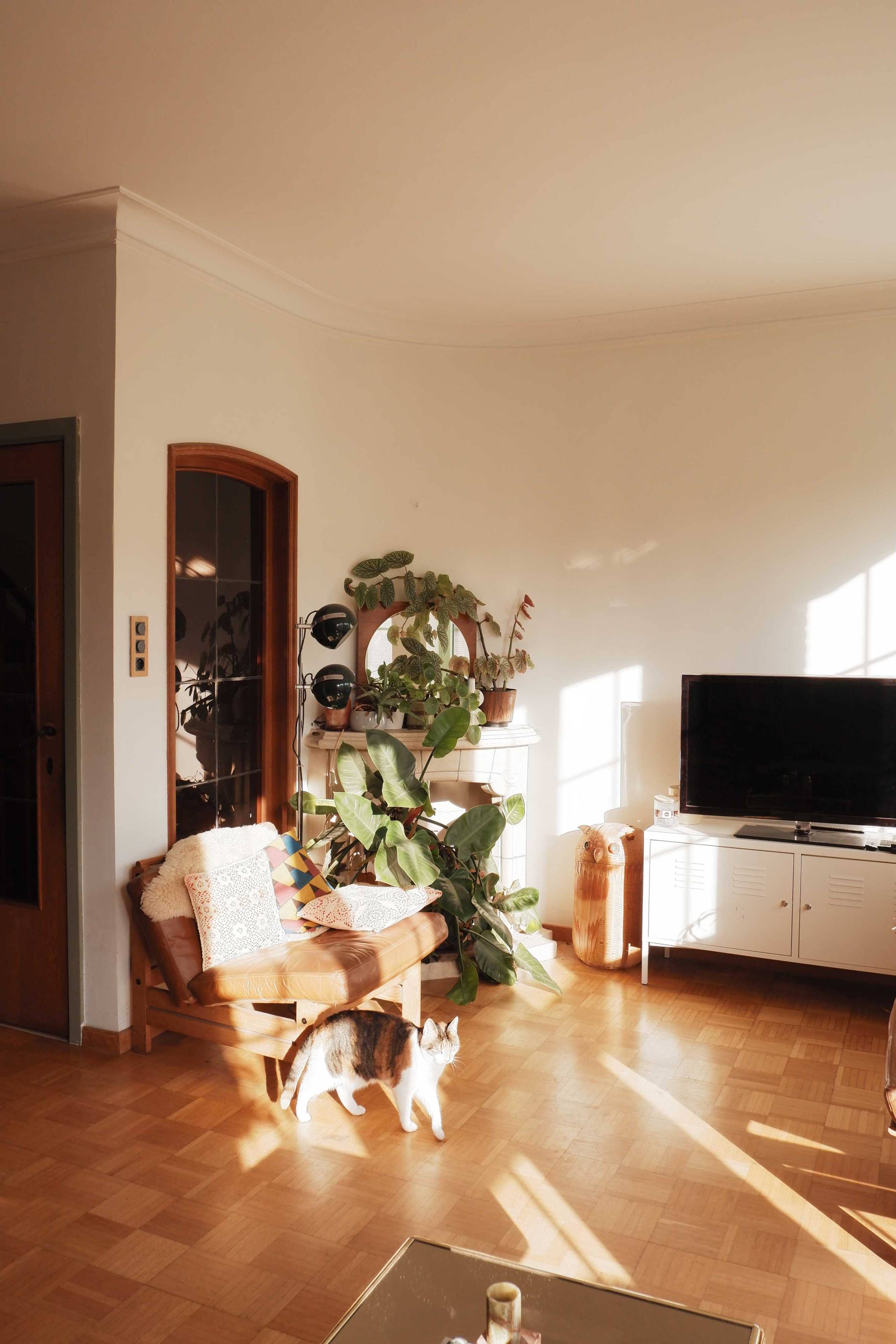 Huis te koop in Borgerhout met 3 slaapkamers - foto 3