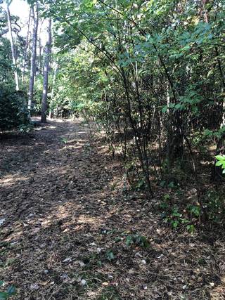 Ontdek deze unieke investeringsmogelijkheid in een recreatie grond te Herenthout! Dit ruime stuk grond van 1057 m². Gelegen in een natuurlijke...