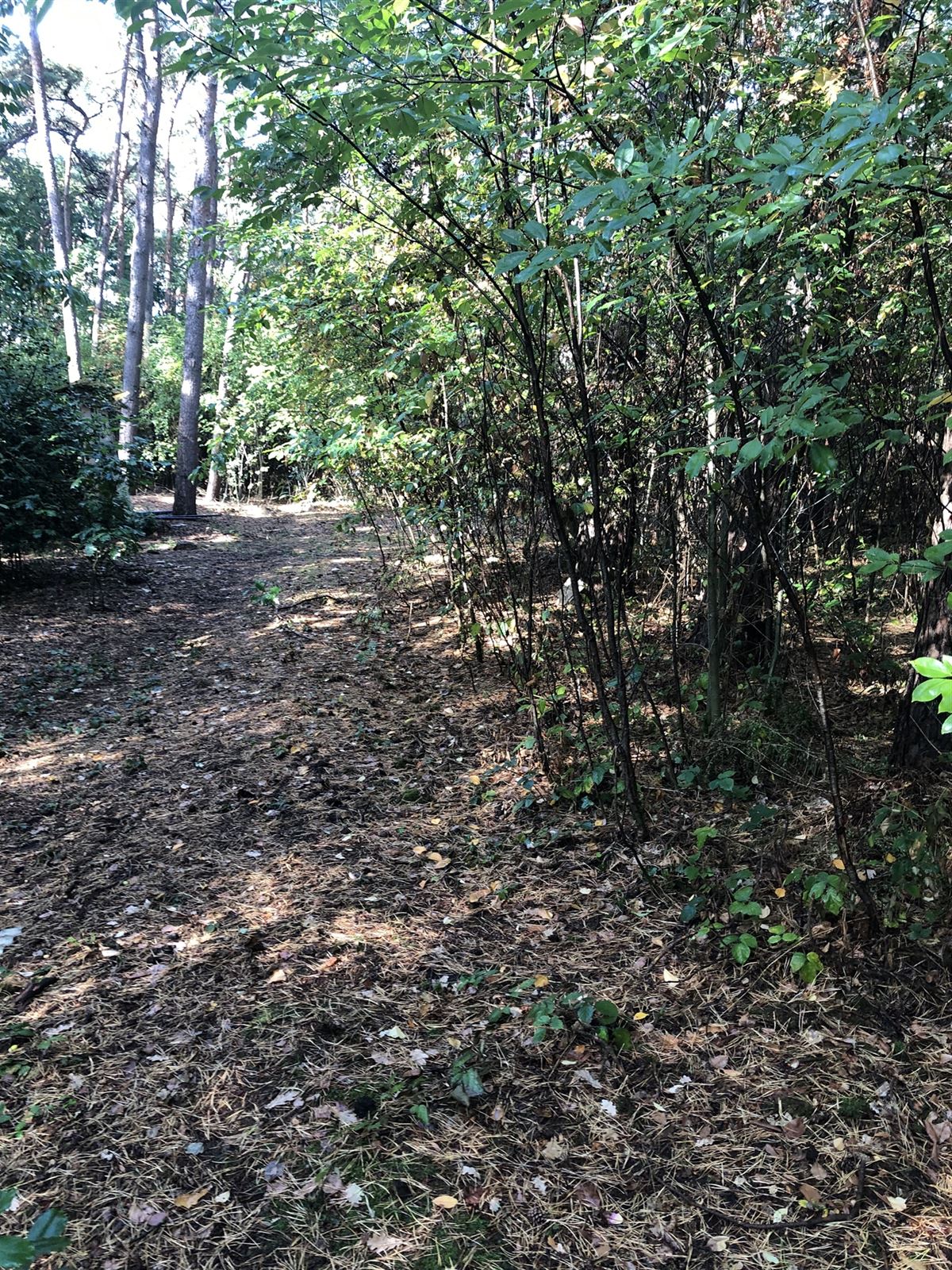 recreatief terrein - foto 3