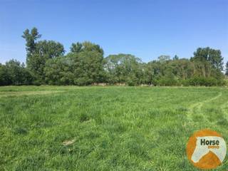 DENDERLEEUW - Goed bereikbare weide van 1,6HADit perceel kunt u terugvinden onder DENDERLEEUW AFD2 sectie: B, nummers: 1658d - 1656a - 1656b - 1656c...