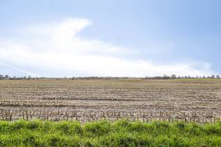 Doordacht ontwerp met maximale lichtinvalBij het ontwerp is aan elk detail gedacht. Plafondhoge ramen zorgen voor een overvloed aan natuurlijk licht en brengen de prachtige buitenomgeving naar binnen. Open het schuifraam in de leefruimte en ervaar een ongeëvenaard binnen-buiten gevoel.Moderne architectuur en technologieDe strakke en eigentijdse uitstraling van de buitenkant wordt binnen versterkt door het gebruik van de modernste technieken: vloerverwarming, een warmtepomp, zonnepanelen en een groendak.Ruimte en comfort op elk niveauDe lichtrijke leefruimte biedt voldoende plaats voor een gezellige zithoek en een ruime eethoek. De open keuken met praktische ontbijtbar sluit hier perfect op aan. Daarnaast is er een handige berging en een gastentoilet op het gelijkvloers.Op de eerste verdieping vind je drie comfortabele slaapkamers en een badkamer die voorzien is van een inloopdouche, ligbad en dubbele wastafel. Een apart toilet maakt het geheel compleet.Een toekomstgerichte investeringMet de aankoop van deze nieuwbouwwoning investeer je in een duurzame en energiezuinige toekomst. Combineer esthetiek en comfort met een woning die klaar is voor de volgende generaties.Ervaar zelf hoe het is om hier thuis te komen – maak snel een afspraak voor een bezoek!