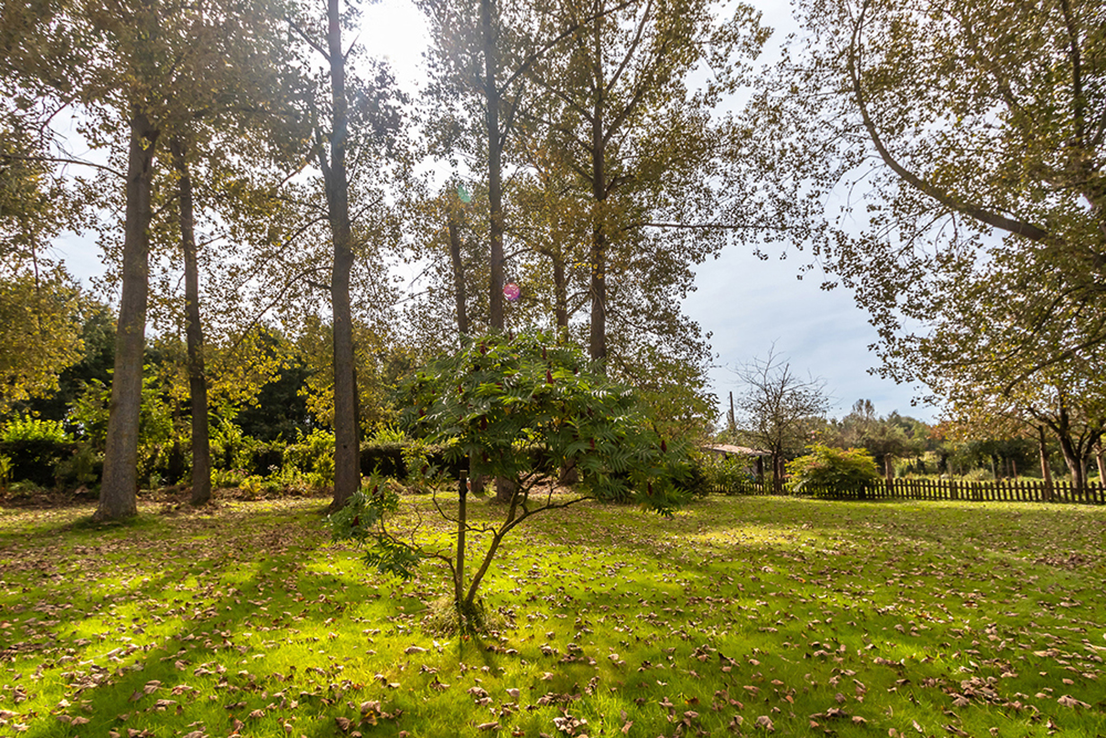 Maison à vendre à Kortenaken avec 2 chambres - photo 3