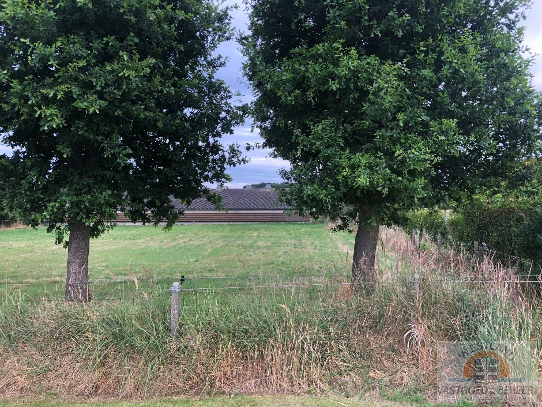 Land for sale in Houthulst - photo 4