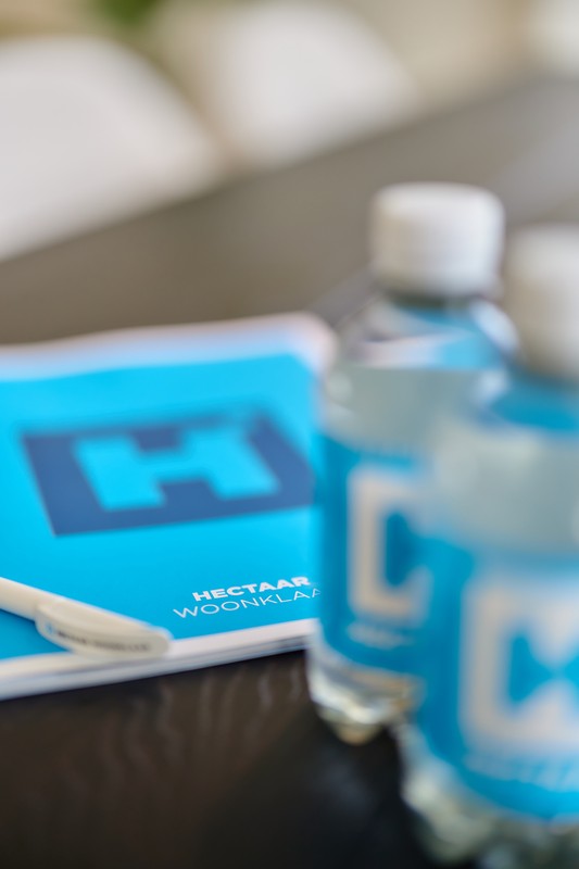 Project te koop in Bavikhove - foto 5