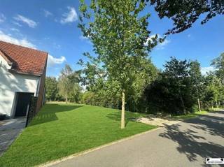 Are you looking for the perfect location to build your dream home? This beautiful building plot in Eikendreef, located in the picturesque...