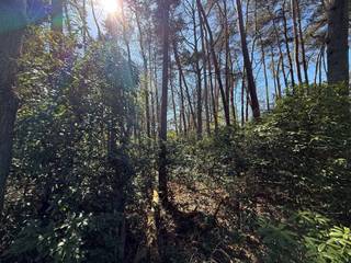 <p>Schitterende bouwgrond gelegen in de Hofse Velden te 's-Gravenwezel!</p><p>In een <strong>doodlopende straat</strong> in 's-Gravenwezel bevindt zich deze ruime bouwgrond van <strong>2.296 m²</strong> met een straatbreedte van circa 25 meter. De bouwgrond bevindt zich vlak aan een uitgestrekt parkgebied en ligt op wandelafstand van de slotgracht van het <strong>Kasteel van ’s-Gravenwezel</strong>. Een unieke combinatie van absolute rust, privacy en een vlotte bereikbaarheid naar Antwerpen en de omliggende gemeenten. Zuid georiënteerde tuin!</p><p><br />De breedte van de bouwgrond meet 24,82 m aan de straatkant en 25,19m aan de achterzijde.<br />De diepte van de bouwgrond meet 91,57 m.</p><p>Met een <strong>bouwbreedte</strong> van 18,82 m en <strong>bouwdiepte</strong> van 40 m biedt de grond uitstekende mogelijkheden voor uw droomwoning.</p><p>De totale bebouwbare oppervlakte (hoofd-/bijgebouwen bedraagt 250 m²</p><p>De bouwgrond is zeer centraal gelegen in de dichte omgeving van het dorp van 's Gravenwezel, winkels, scholen, autostrades, ... Kortom een opportuniteit!</p><p>Extra: <br />- Bouwvoorschriften te verkrijgen op kantoor.<br />- Perceelscore A<br />- Niet gelegen in mogelijks of overstromingsgevoelig gebied, niet gelegen in afgebakend overstromingsgebied of afgebakende oeverzone, niet gelegen in risicozone overstromingen<br />- Woonpark<br />- Stedenbouwkundige info in aanvraag.</p><p>Nabij school, winkels, autosnelweg, openbaar vervoer, etc. Voor meer info ga naar www.coenenvastgoed.be of bel 03/375.82.92<br /> </p>