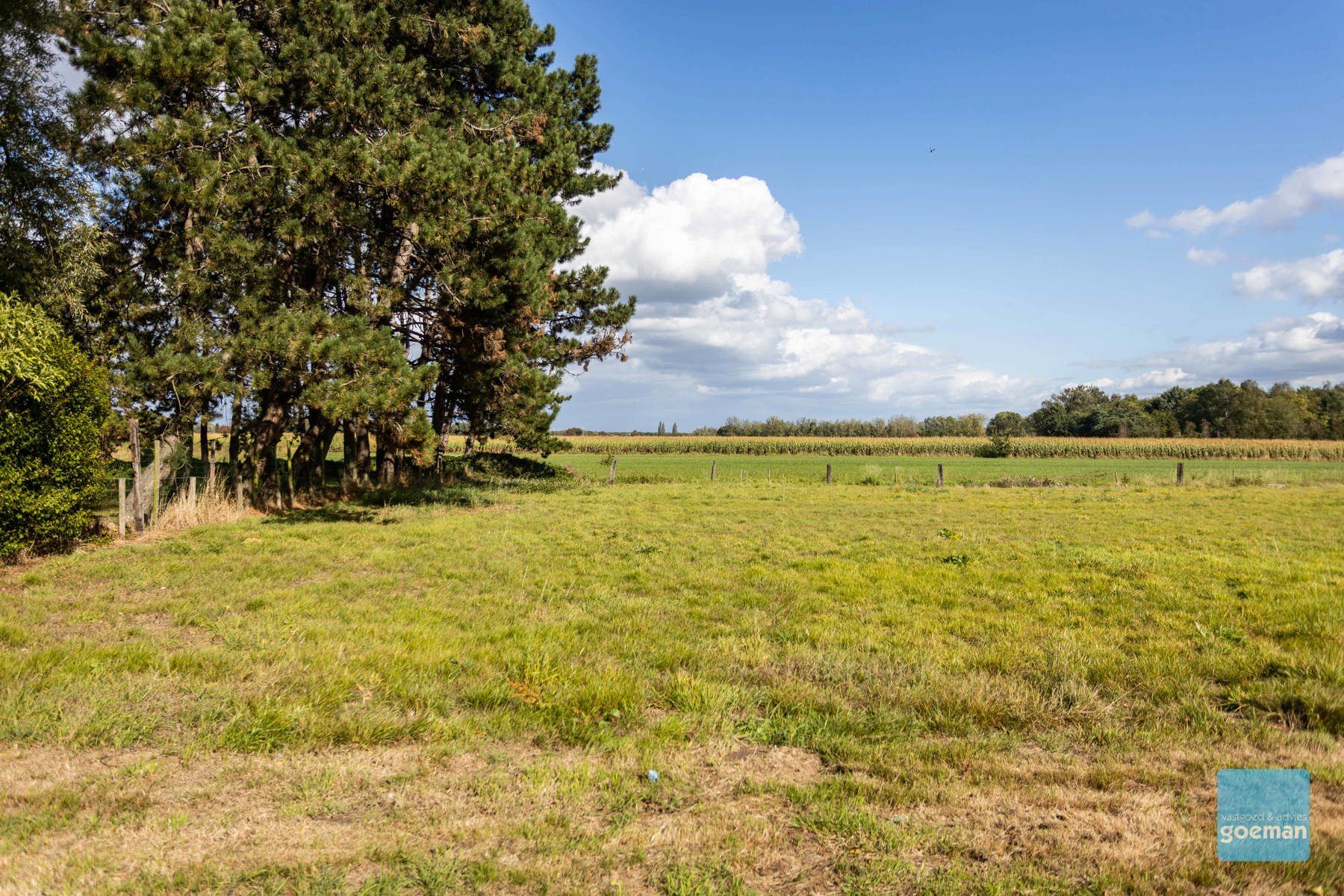 Land for sale in Berlare - photo 5