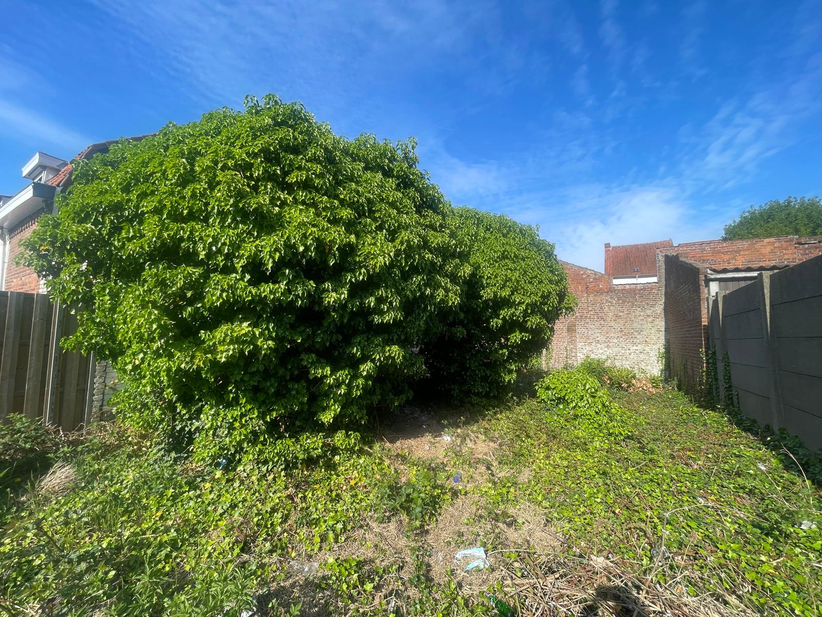 Land for sale in Menen - photo 4