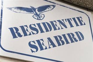 Instap klaar appartement in Blankenberge met 1 slaapkamer en 1 badkamer. Deze compacte woning biedt een bewoonbare oppervlakte van circa 35 m² en...