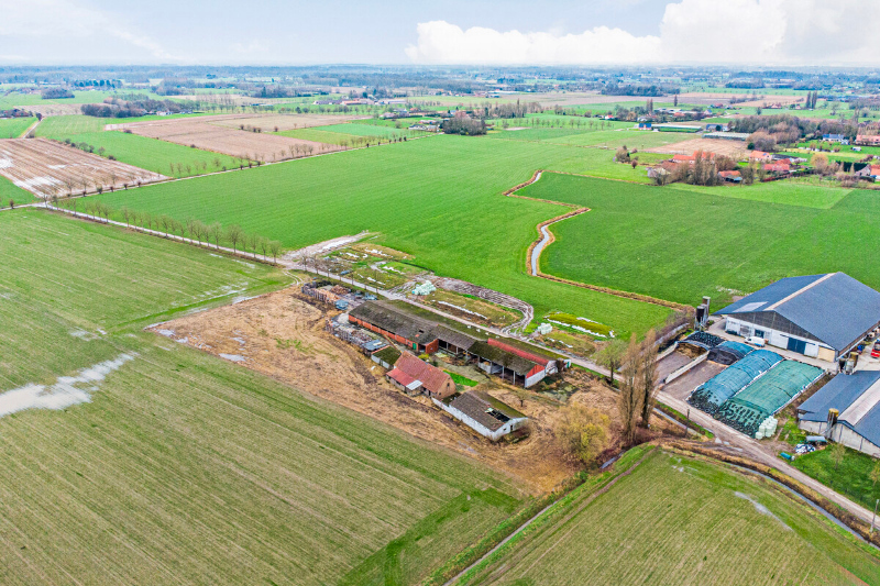 Domein te Landegem – Te renoveren hoeve op 1 hectare mét bouwmogelijkheden. - foto 3